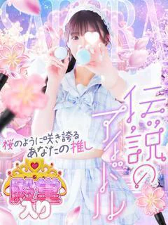 ☆殿堂入り☆ サクラ