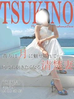 ツキノ～欲求不満すぎる美人奥様～