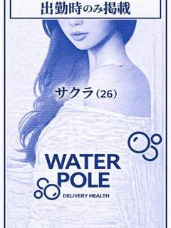 サクラ【STANDARD】