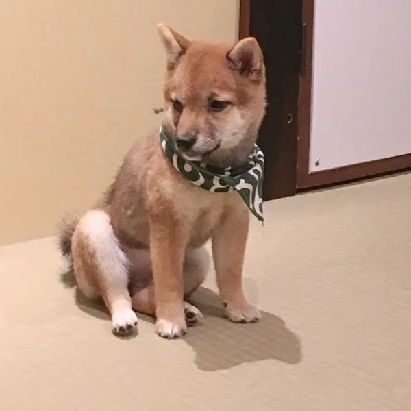 6月ー✨