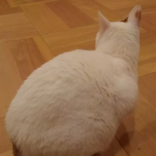 ご予約ありがとうございます😄