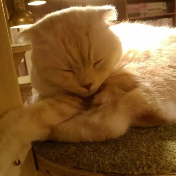 この後last枠ですー