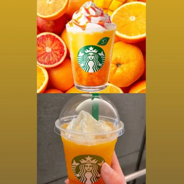 お久しぶりです。°.。❅ 𓈒◌°.。゜.❅𓈒◌。・。❅