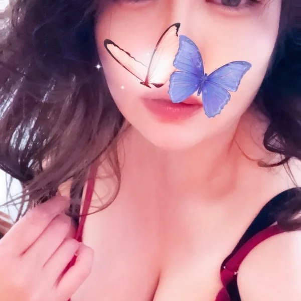 🌹来週の予定🌹
