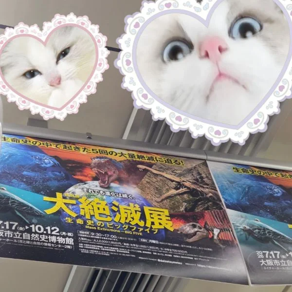 これ行かなきゃ🦖💨
