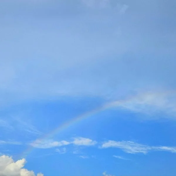 まったりお休みの日🌈🌸
