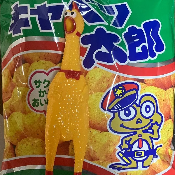 本日出勤🛸