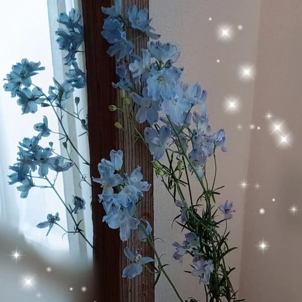 ホッとする雨の日の巻♡