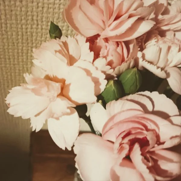 理想通りじゃなくても...の巻♡