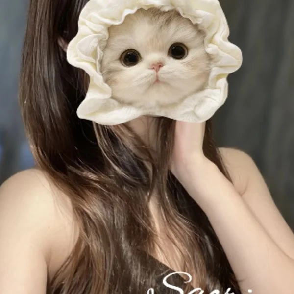幸田さおり