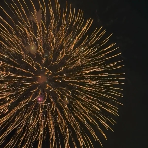 花火🎇💕