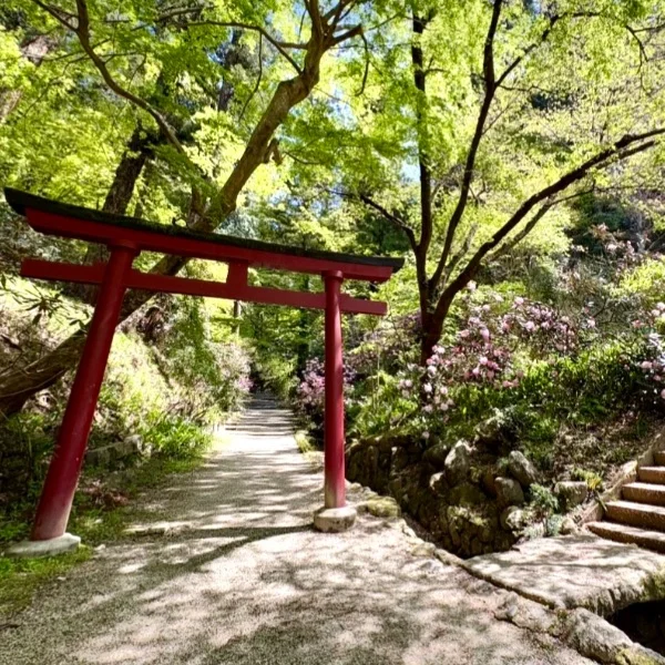 𝕡𝕣𝕚𝕧𝕒𝕥𝕖 ⛩️