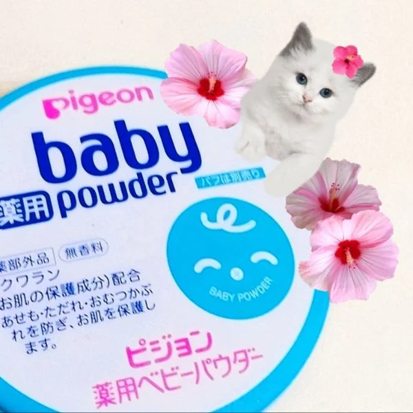 こんばんは🧜‍♀️🪸