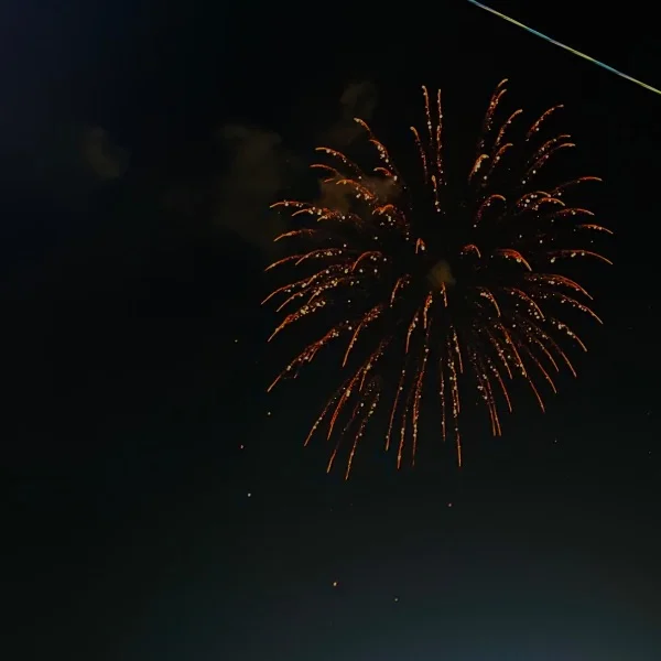 🎆