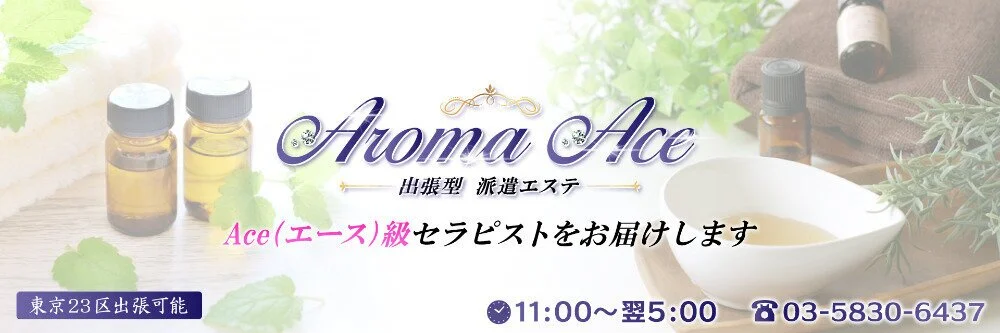 出張型　 Aroma Ace(アロマエース)