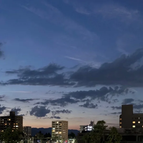 8/29(土)お礼💌