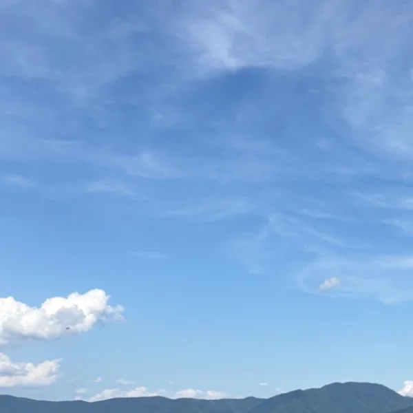 8/30(日)お礼💌