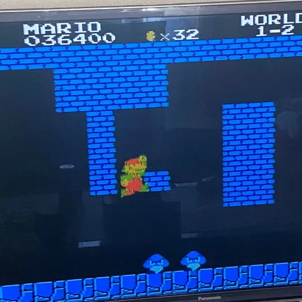 やっちゃった(///∇///)ゞ