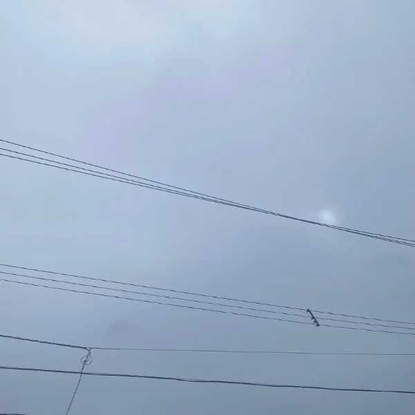 降るかなー？