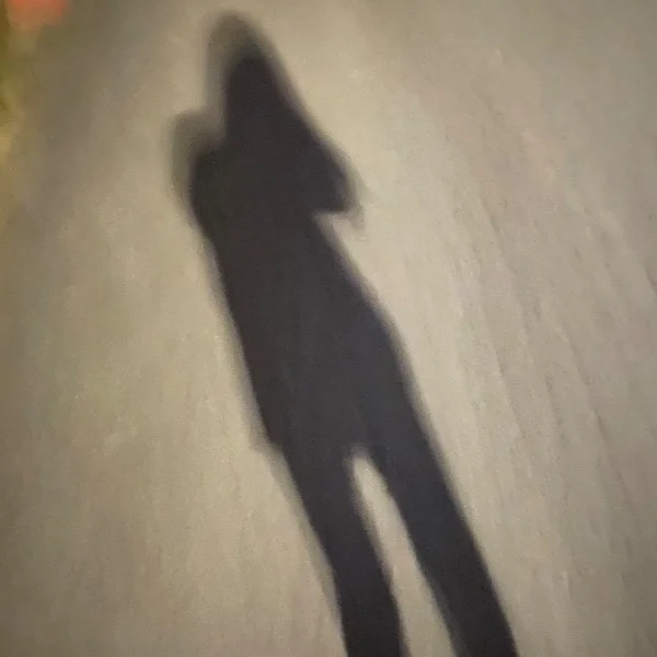 お散歩