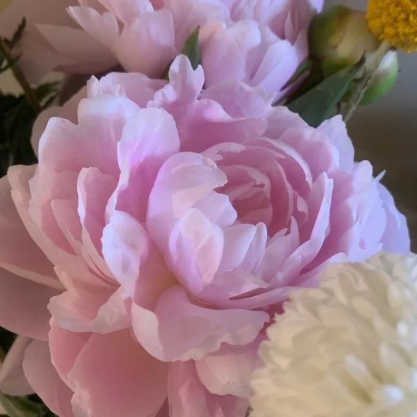 6/3ありがとう🥰