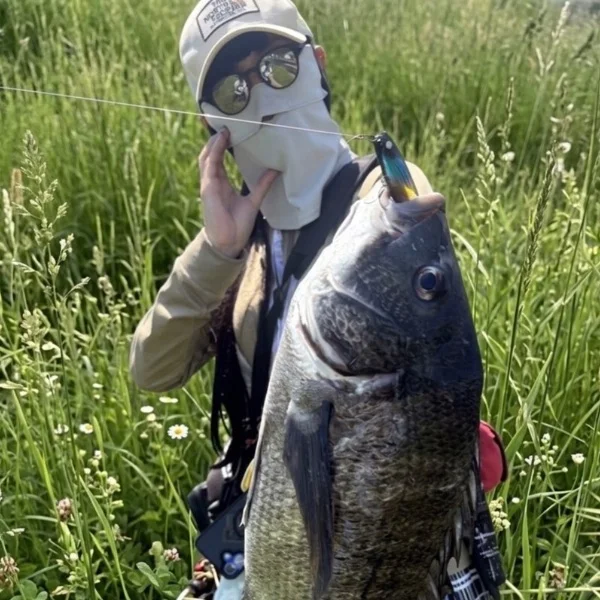 🎣加古川・姫路チニング🎣