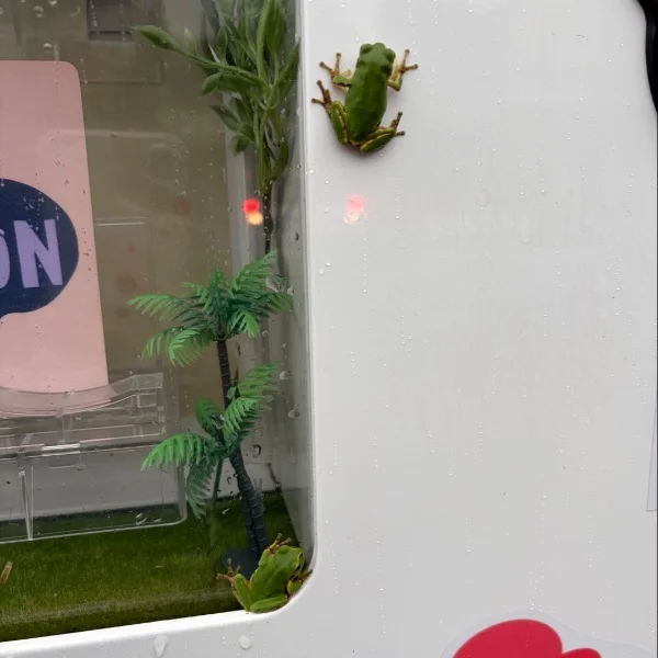 🐸