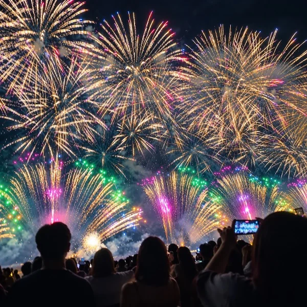 夏の風物詩🎆✨