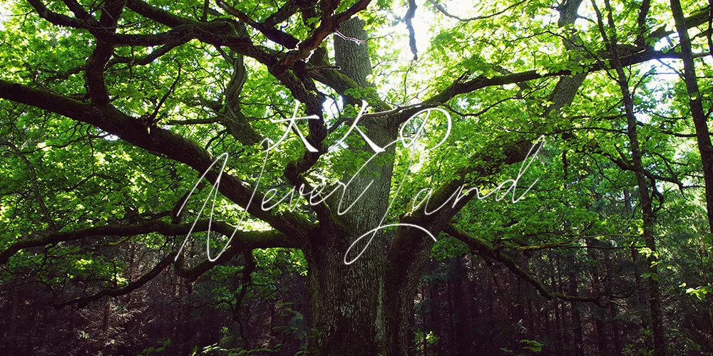 大人のNEVERLAND