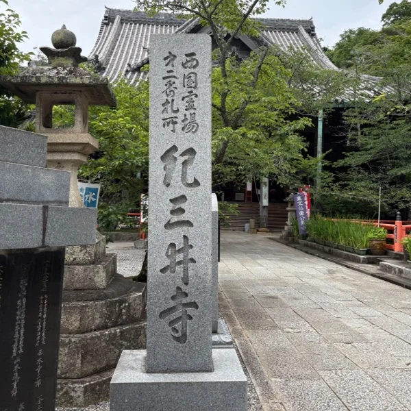 雨嫌だな…