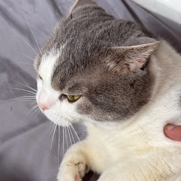 ᵍ ᵒ ᵒ ᵈ  ᵐ ᵒ ʳ ᐢ ⁱ ᐢ ᵍ 🔅