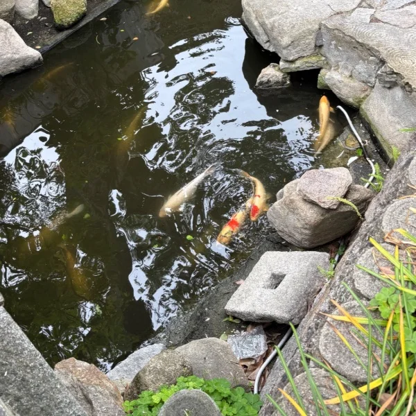 今日も〜