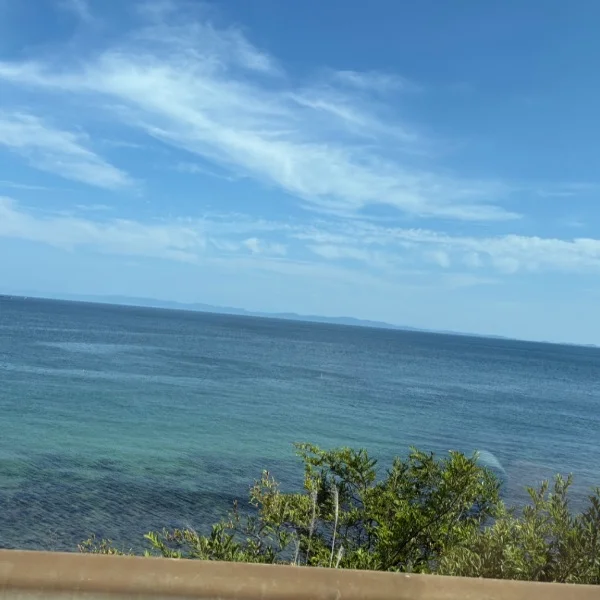 お̤̮っ̤̮は̤̮  ᵐ ᵒ ʳ ᐢ ⁱ ᐢ ᵍ ‪ 🔆‬