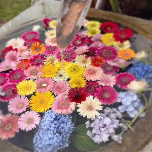 この間、初めて一人旅してきたんです🌸