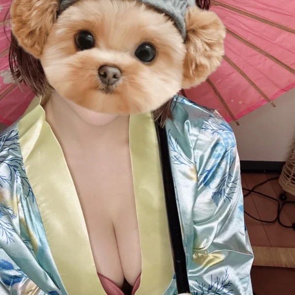 昨日は完売ありがとうございました🫶