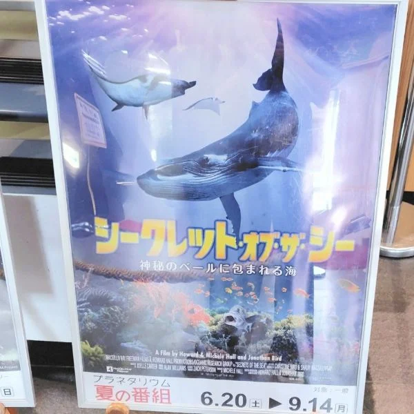 海の中へ🦈🐐🌠