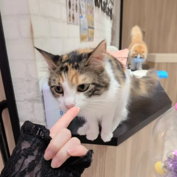 こんにちは♡