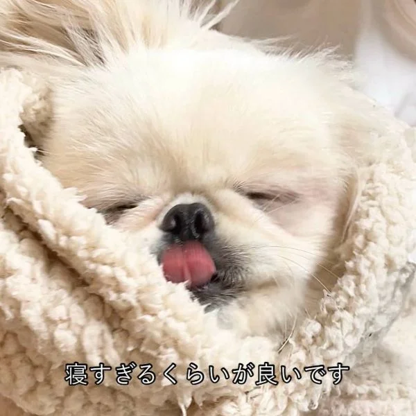 ねむねむ🫧