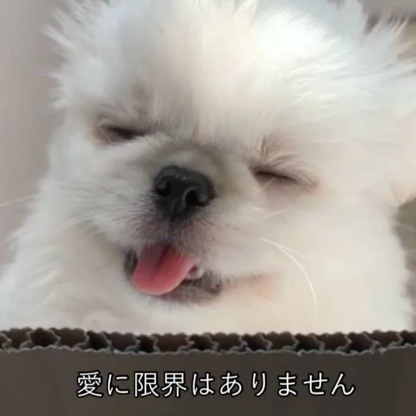 5/27㈬21:00~本指名A様