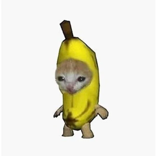 🐾猫ミームを一生愛すぞ🐾
