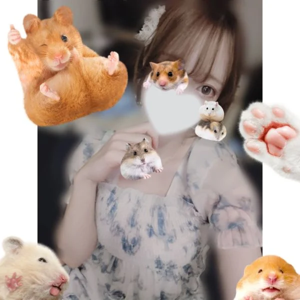 🐹🐹🐹🐹🐹