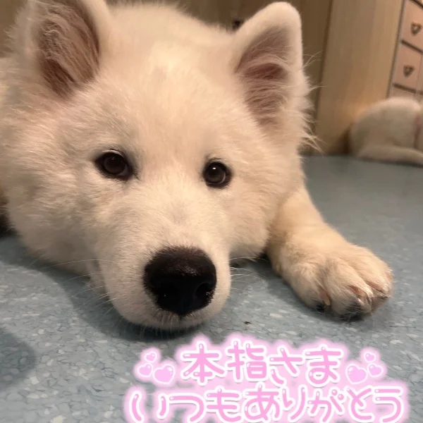 🤍6/519時N様🤍
