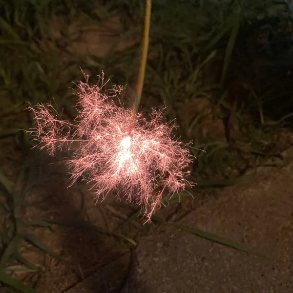 こんばんは