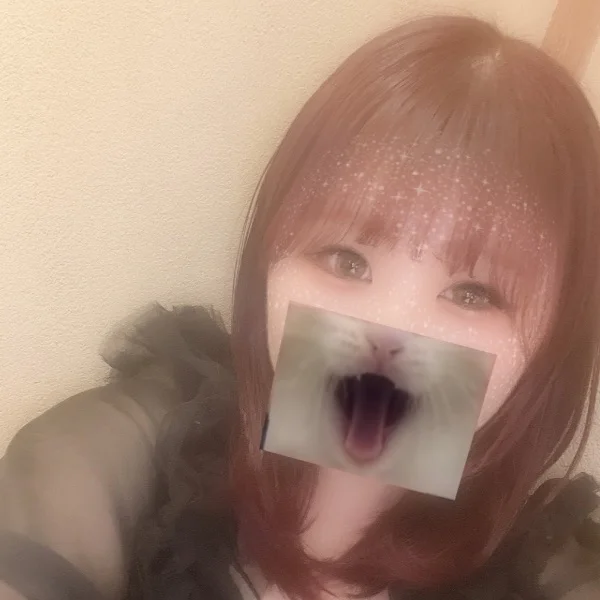 今日から🤍