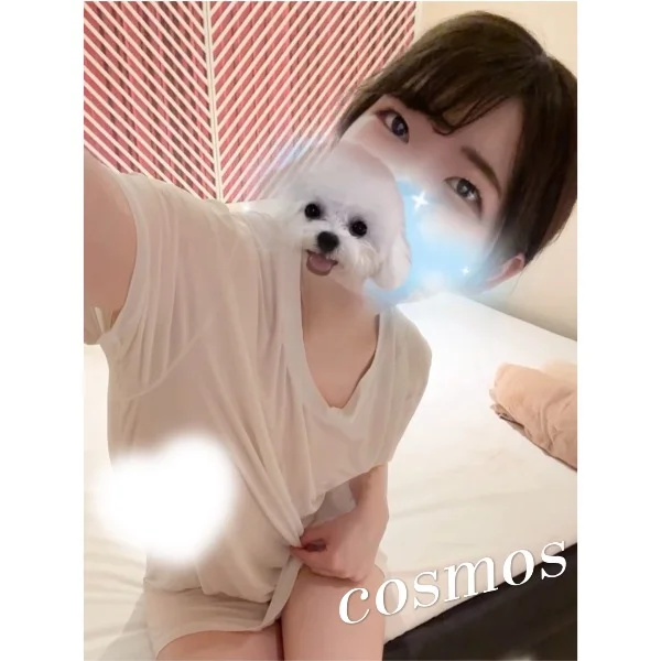 もっと癒したいっ🤍