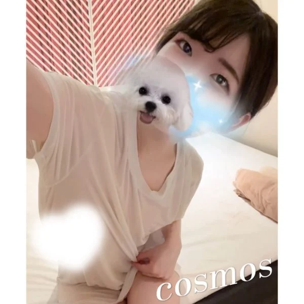 今日もありがとう🌷