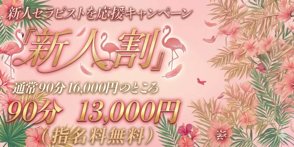 Flamingo～フラミンゴ～