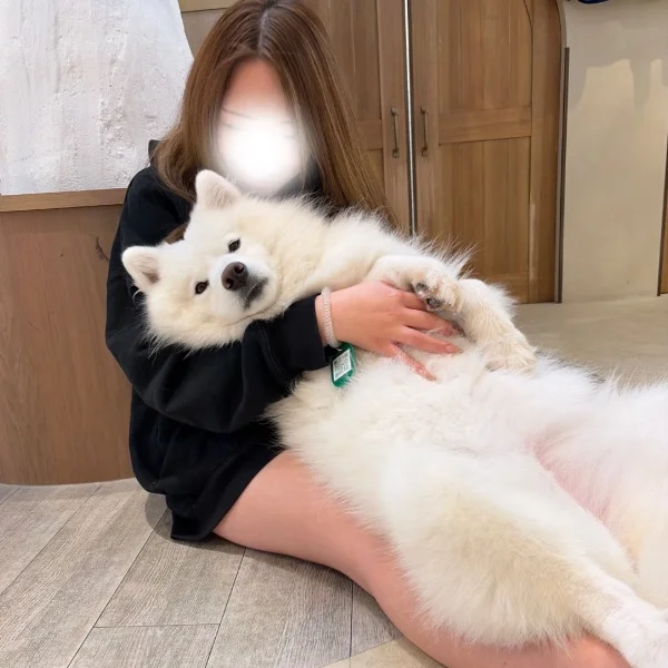 癒し♡