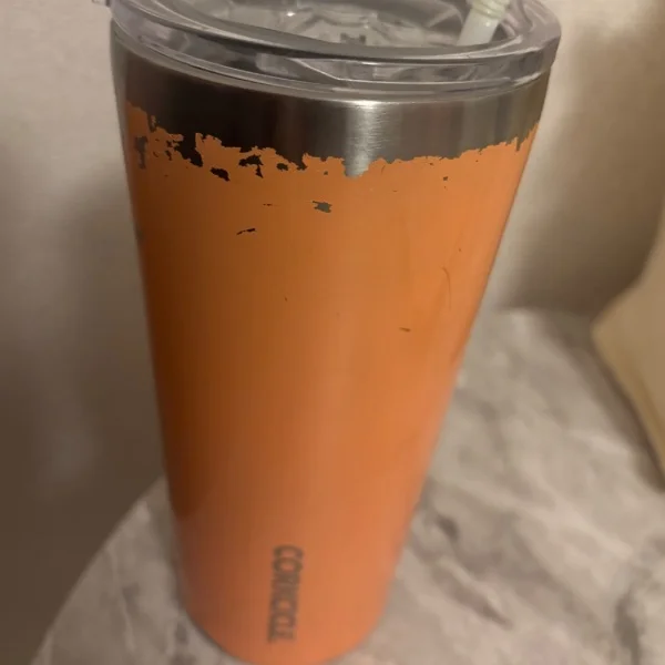中身は基本的に水か青汁🌱