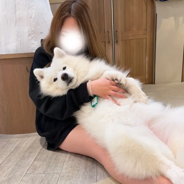 癒し♡